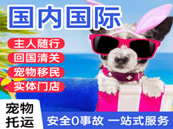 涟水机场邮寄国际宠物托运 【国